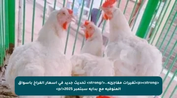 <p><strong>تغيرات مفاجئة..</strong> تحديث جديد في أسعار الفراخ بأسواق المنوفية مع بداية سبتمبر 2025</p>
